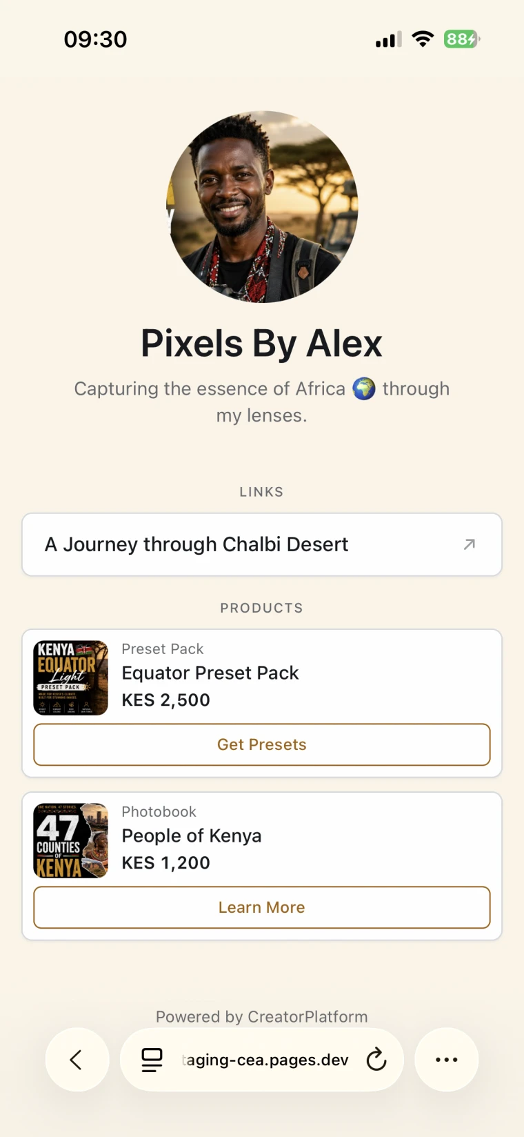 Pixels By Alex storefront showing a photography preset pack and digital photobook